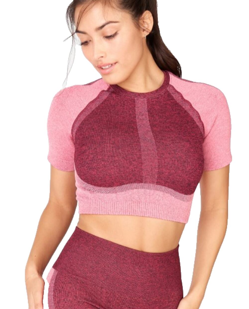 Fabletics Womens Helena Seemless Cropped Colorblock Top Burgundy Pink Workout L